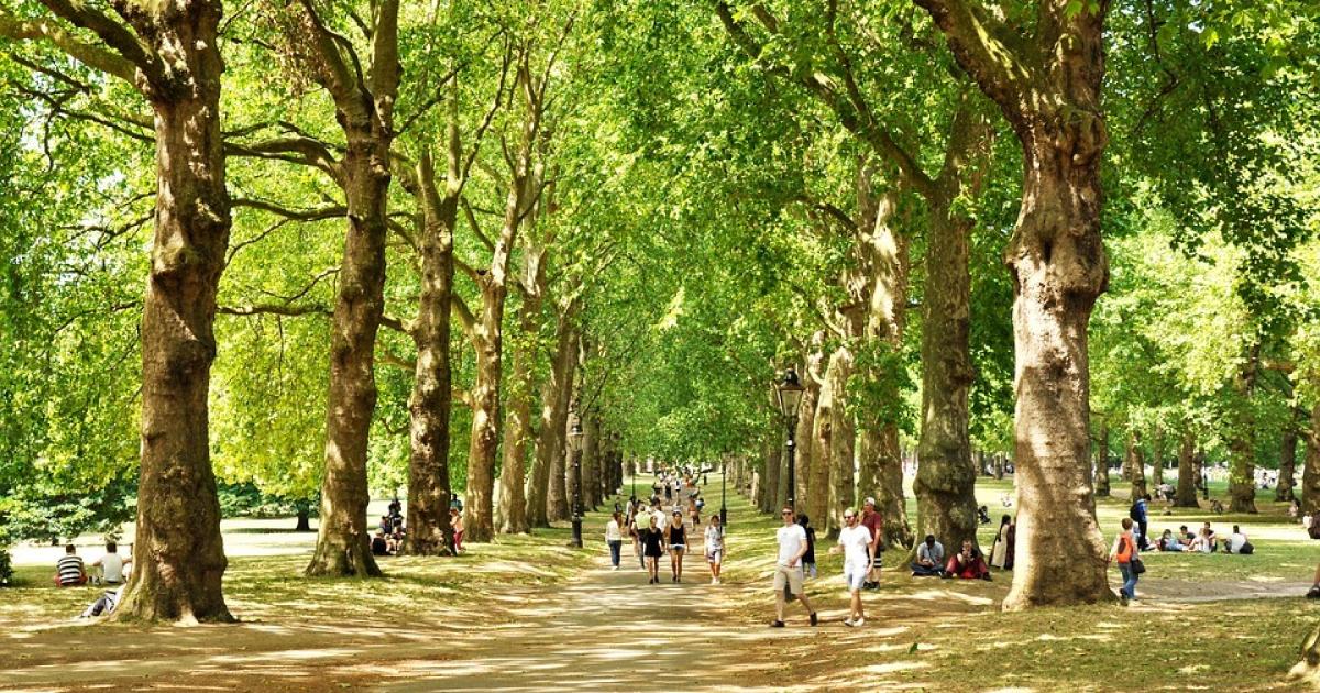 London National Park City Week starts today