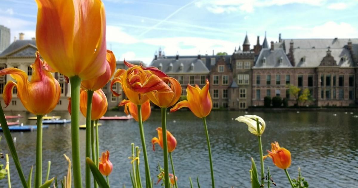 thumb-1200x630-binnenhof-2398654-960-720-jpg