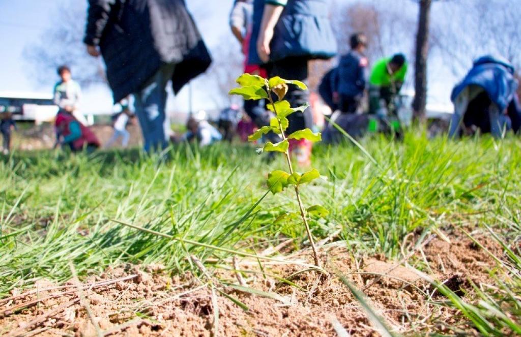 Enriching Municipal Biodiversity And Resilience In Poiares Themayor Eu