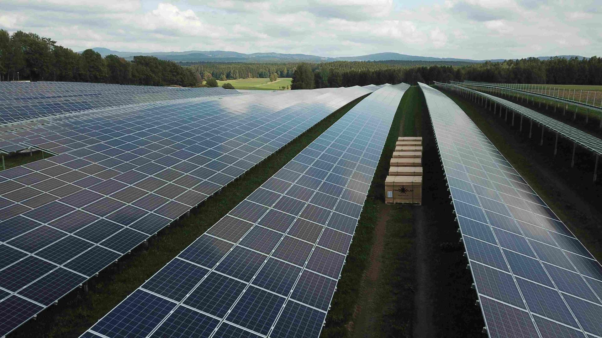 Eco Solar Biotope Mixing A Solar Farm With An Agricultural Farm To Promote Biodiversity 2891