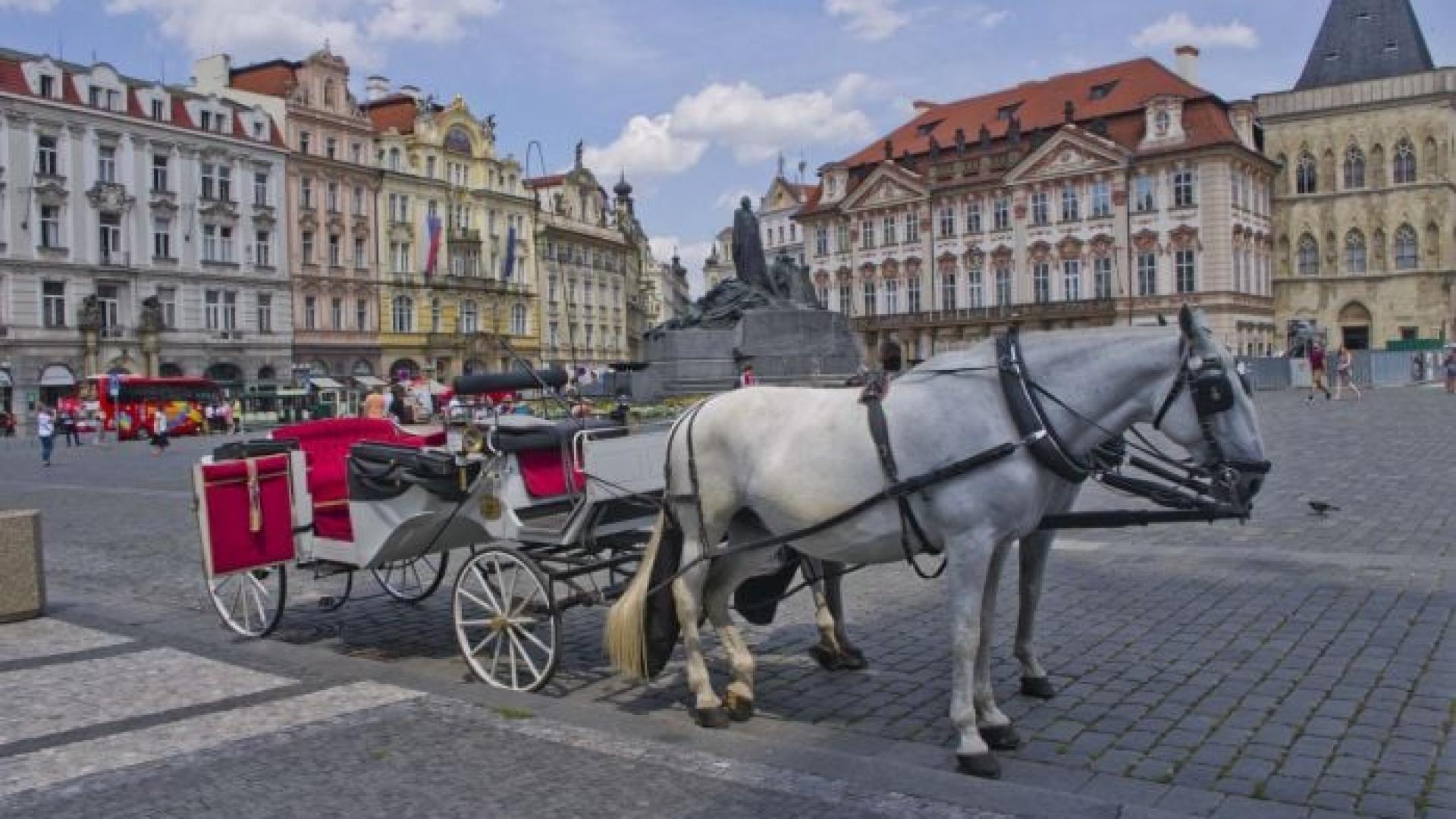 prague-bans-horse-drawn-carriages-to-protect-the-animals-themayor-eu